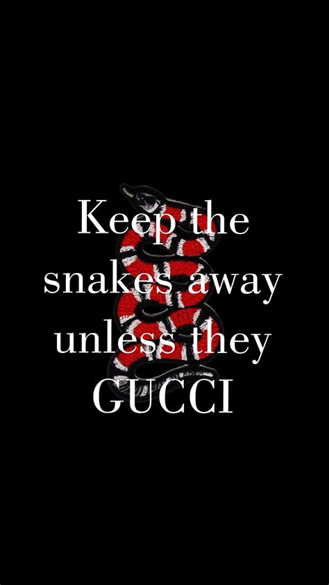 keep the snakes away unless they gucci wallpaper|supreme gucci snake background.